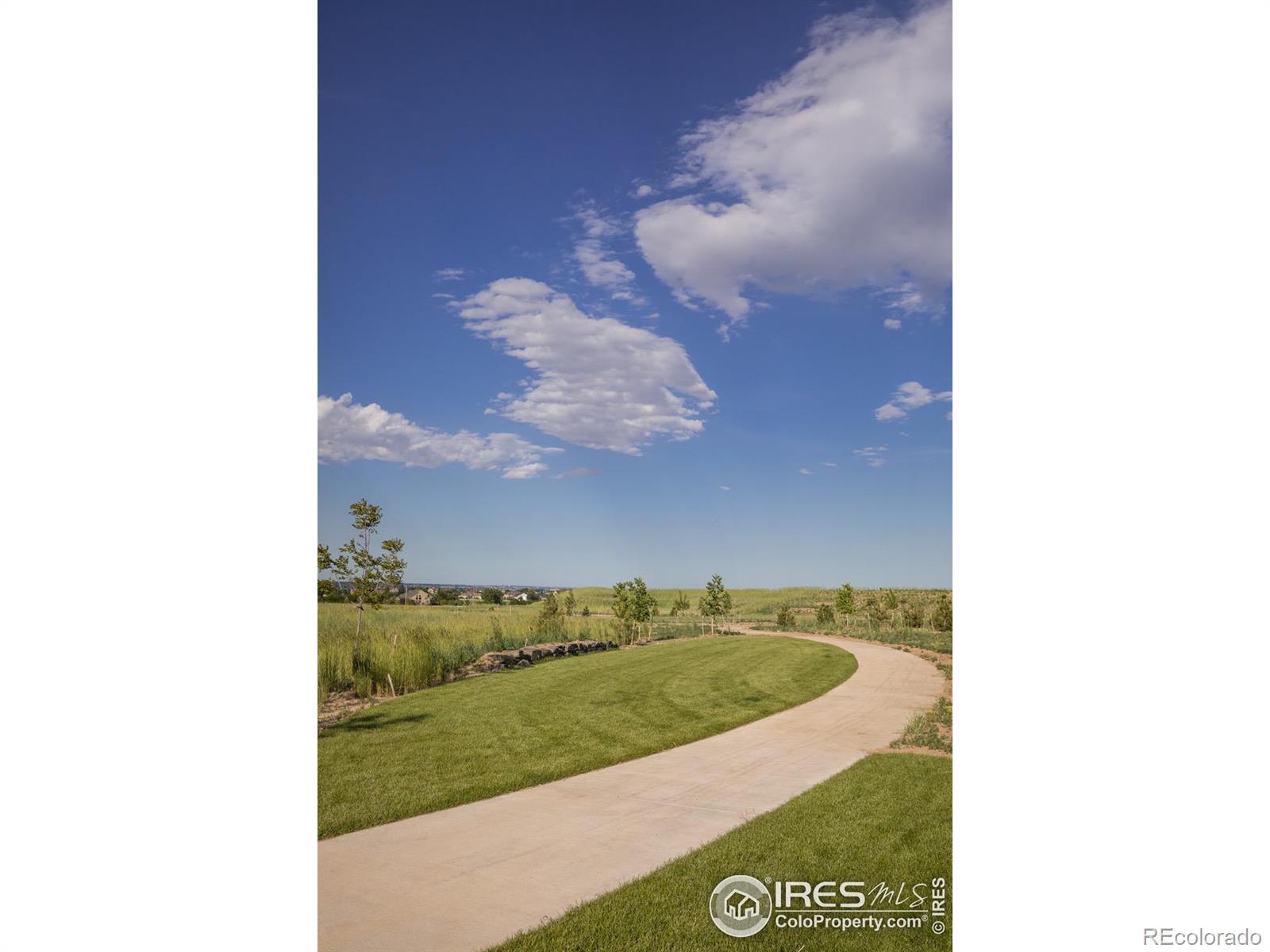 MLS Image #7 for 1722  lucent court,windsor, Colorado