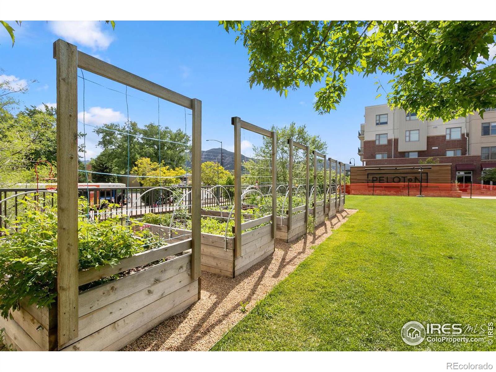 MLS Image #32 for 3701  arapahoe avenue,boulder, Colorado