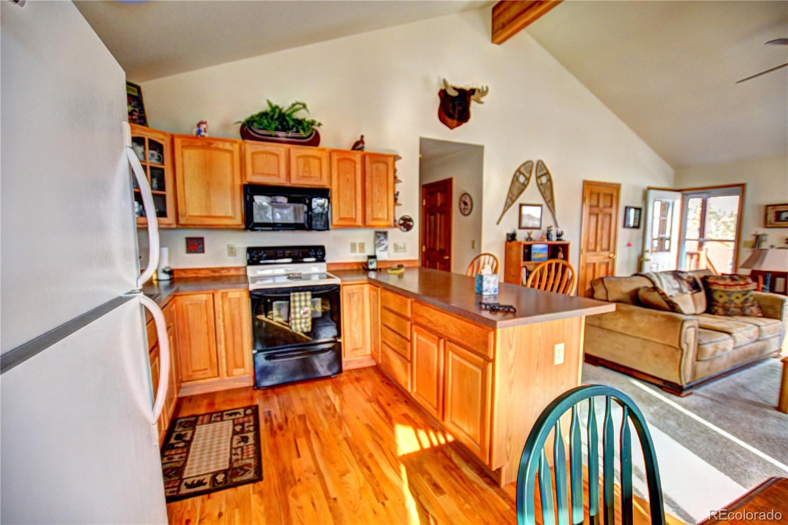 MLS Image #10 for 267  pinto trail,como, Colorado