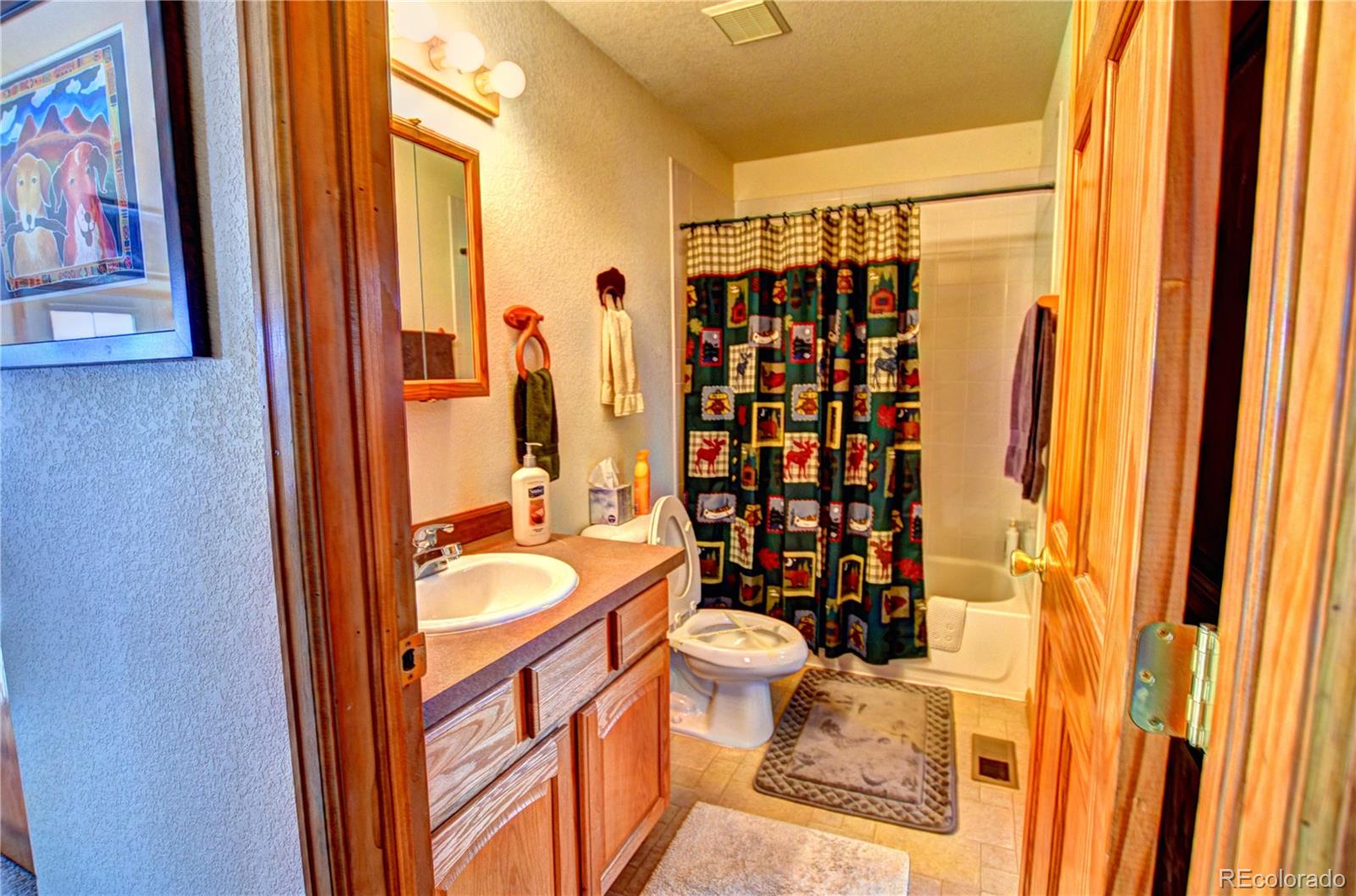 MLS Image #13 for 267  pinto trail,como, Colorado