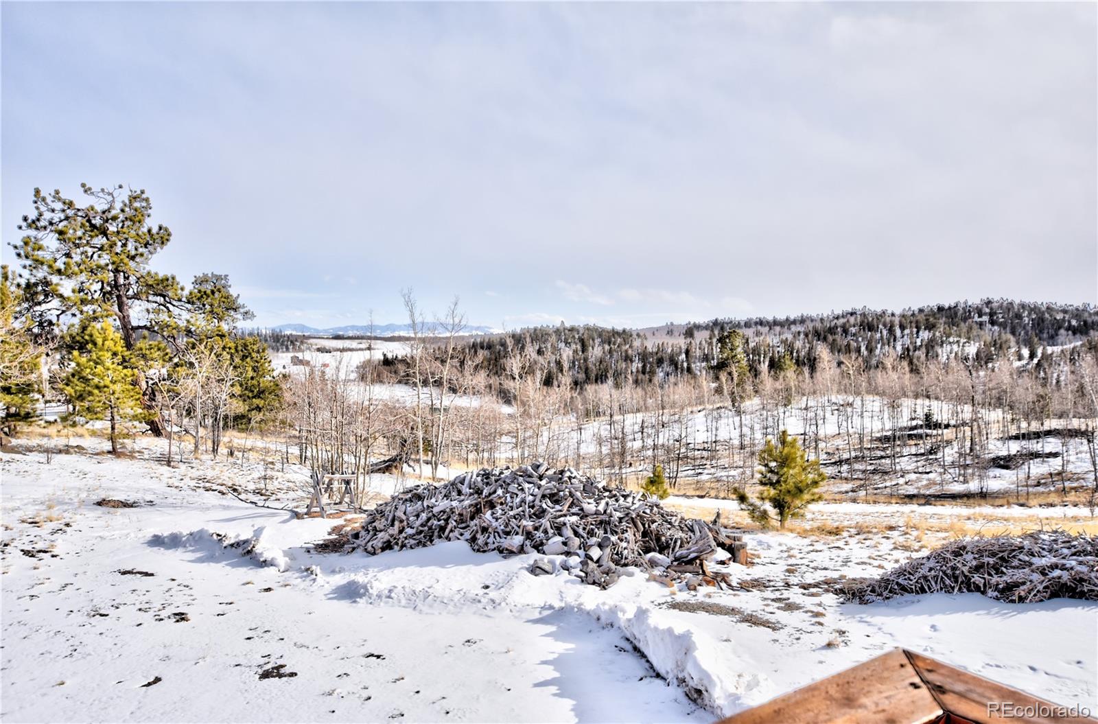 MLS Image #20 for 267  pinto trail,como, Colorado