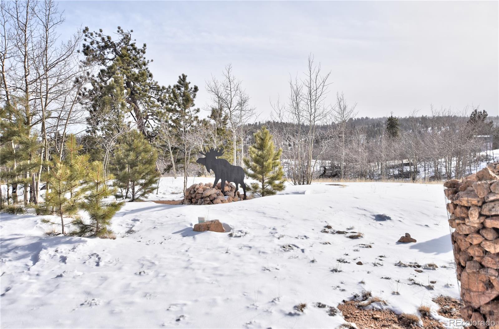 MLS Image #4 for 267  pinto trail,como, Colorado