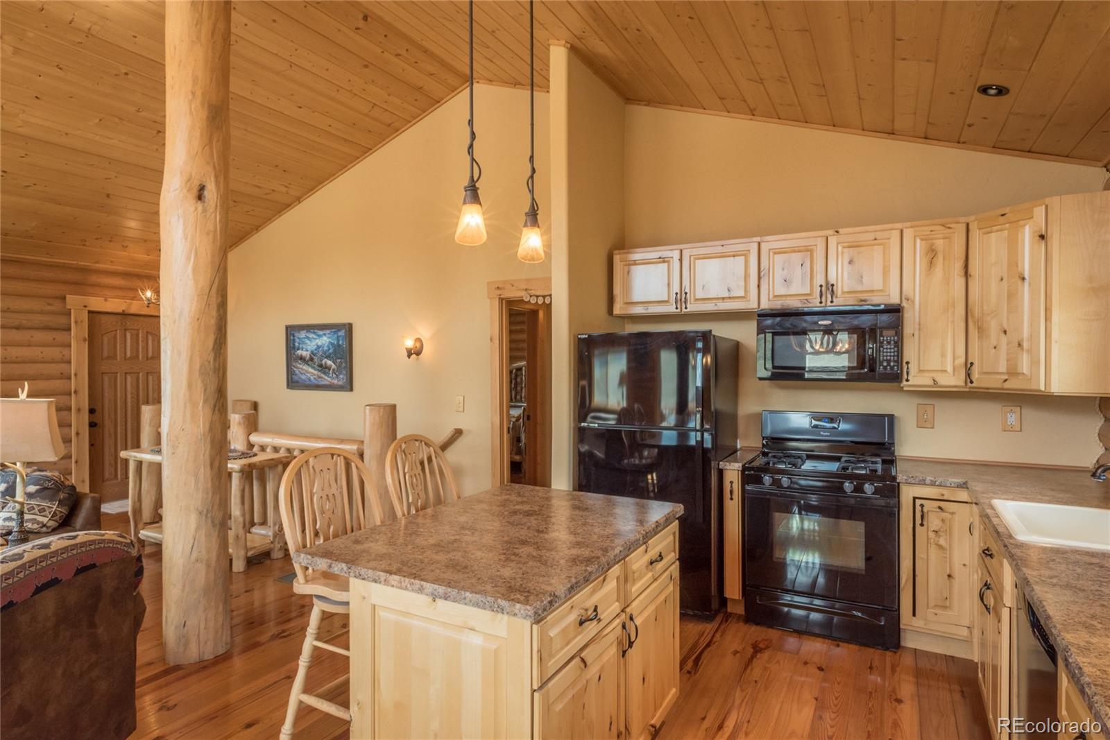 MLS Image #12 for 211  saddle trail,hartsel, Colorado