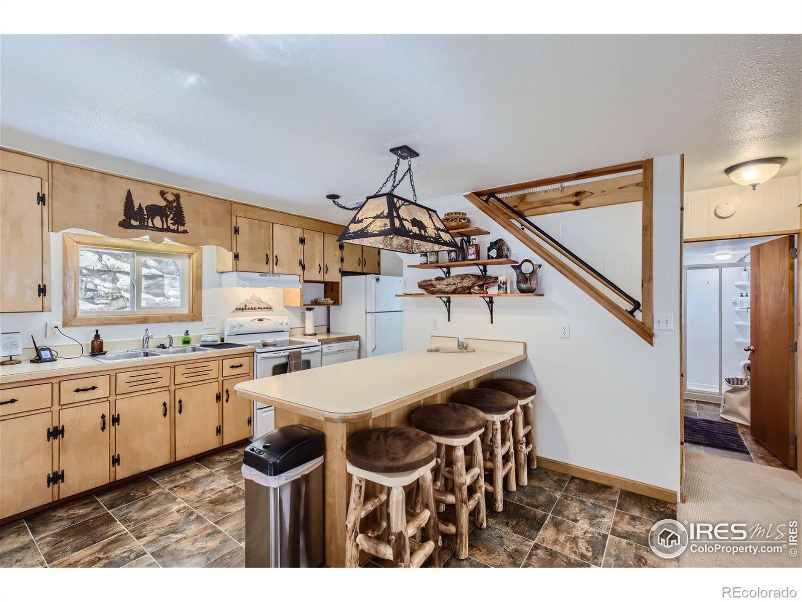 MLS Image #3 for 49  rock canyon road,drake, Colorado