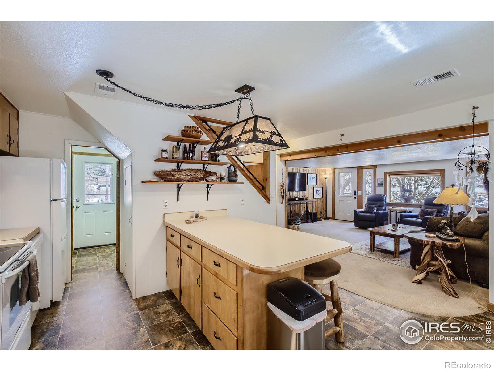 MLS Image #4 for 49  rock canyon road,drake, Colorado