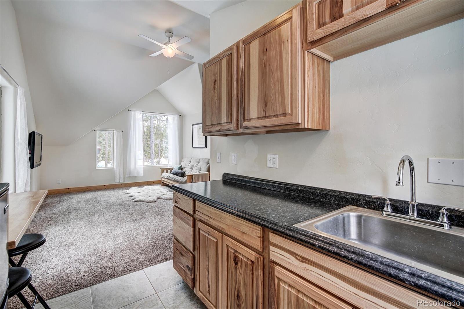 MLS Image #22 for 239  american way,breckenridge, Colorado