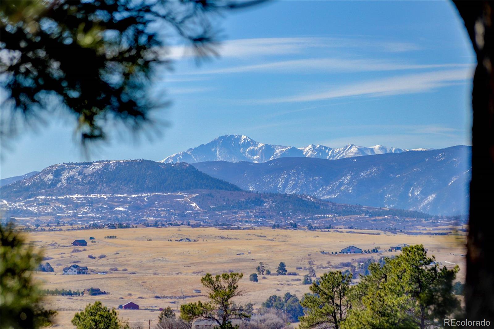 MLS Image #5 for 3328  diablo way,castle rock, Colorado