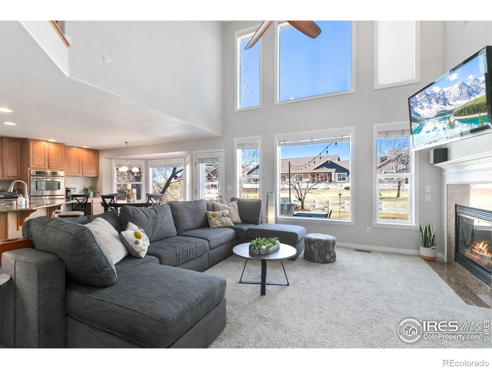 MLS Image #11 for 8270  albacore court,windsor, Colorado