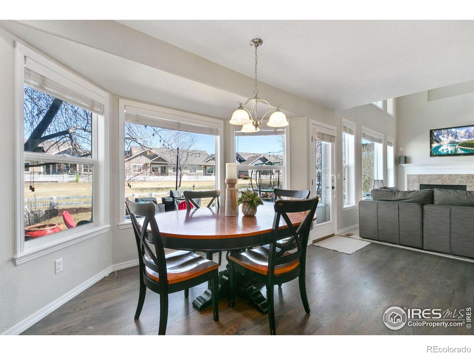 MLS Image #17 for 8270  albacore court,windsor, Colorado