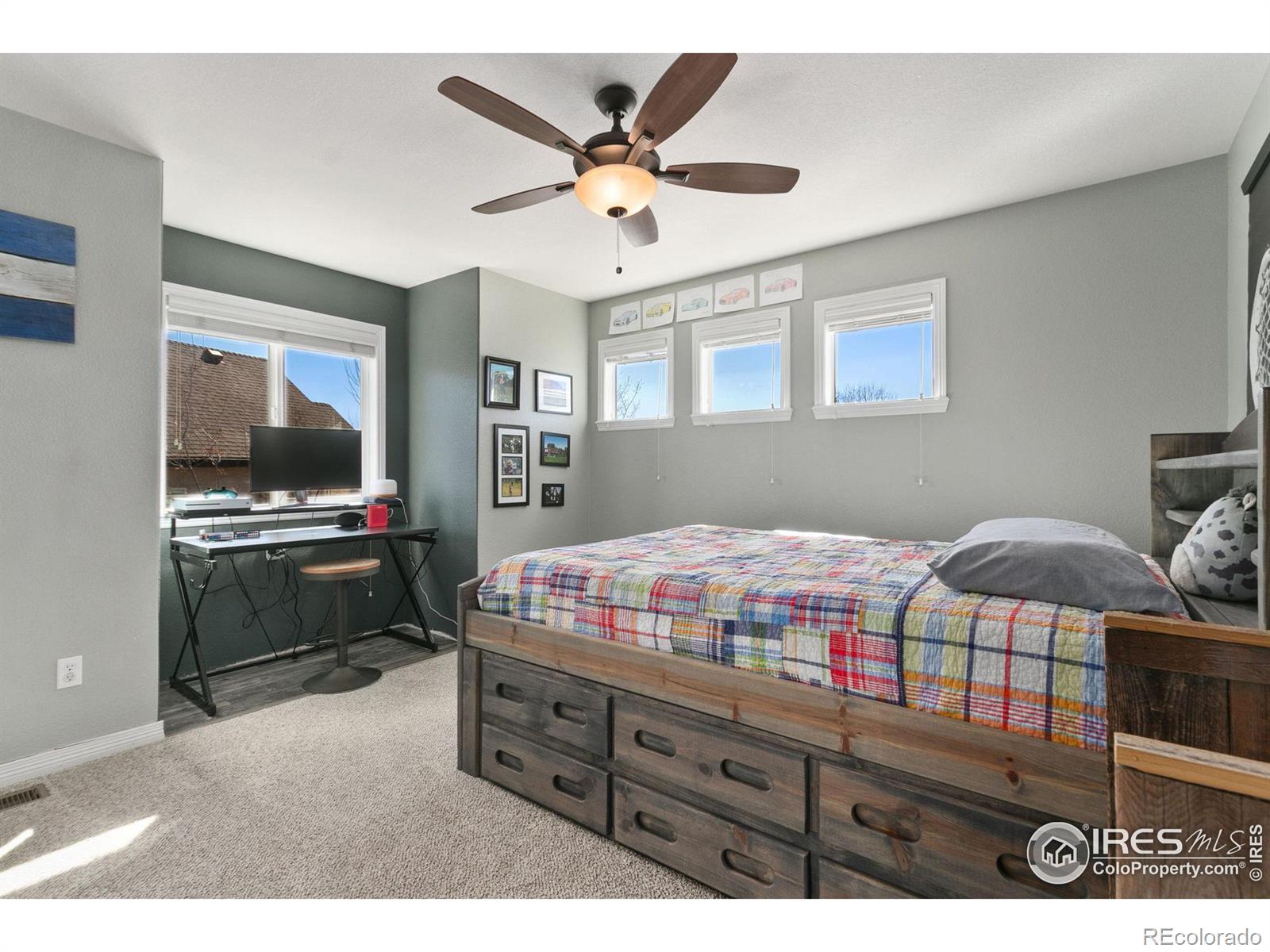 MLS Image #26 for 8270  albacore court,windsor, Colorado