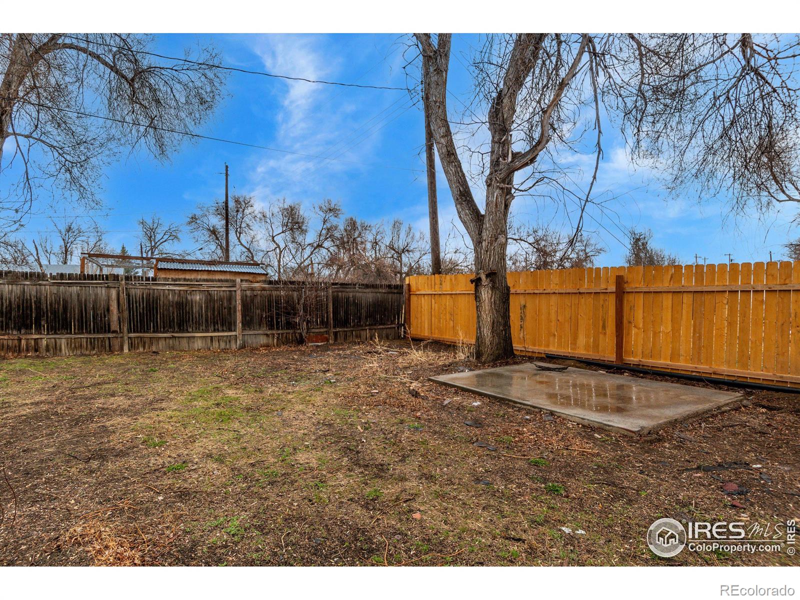 MLS Image #24 for 1408  arthur avenue,loveland, Colorado