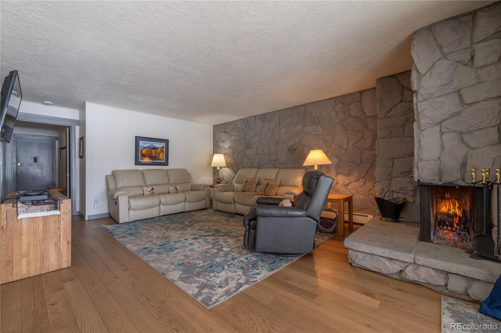 MLS Image #5 for 176 e la bonte street,dillon, Colorado