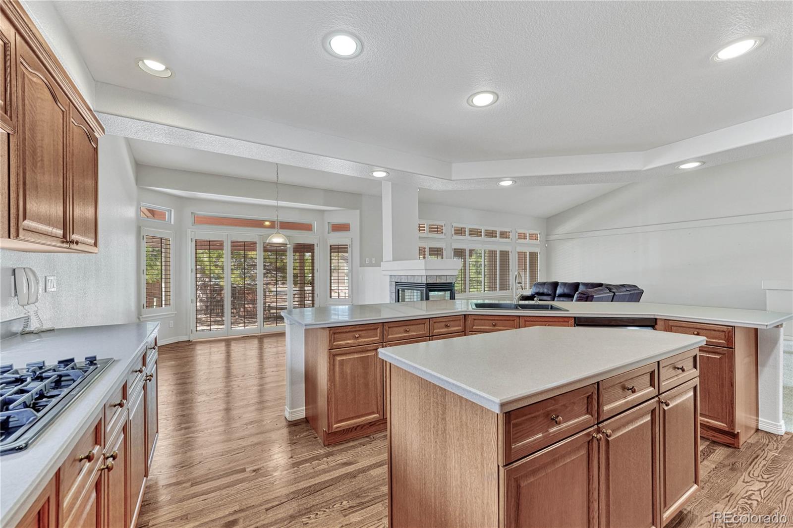 MLS Image #16 for 10094  wyecliff drive,highlands ranch, Colorado