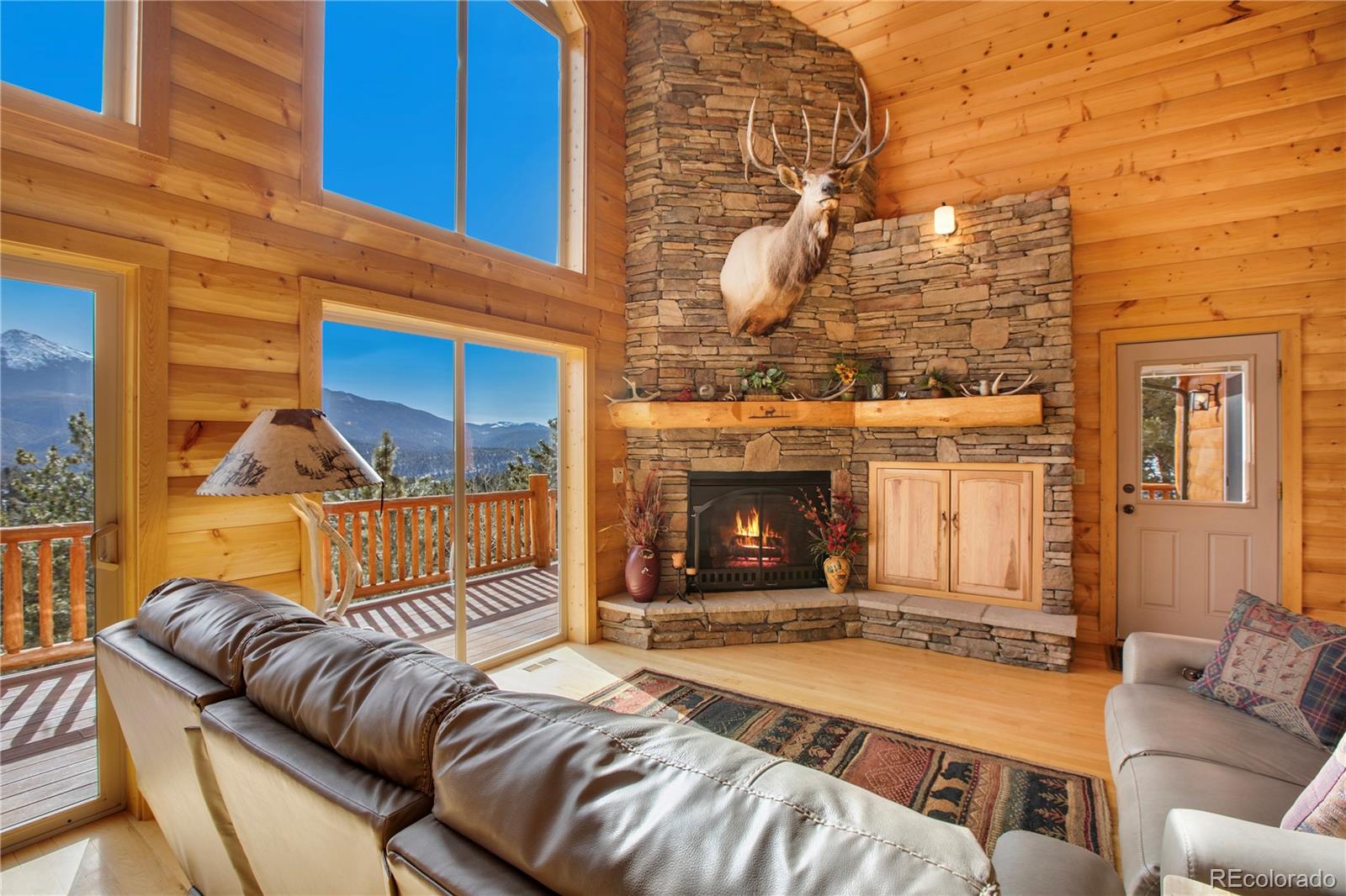 MLS Image #11 for 156  paradiso road,divide, Colorado