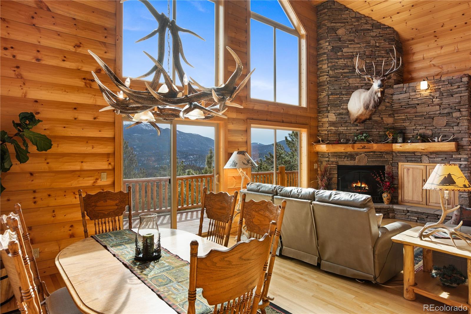 MLS Image #17 for 156  paradiso road,divide, Colorado