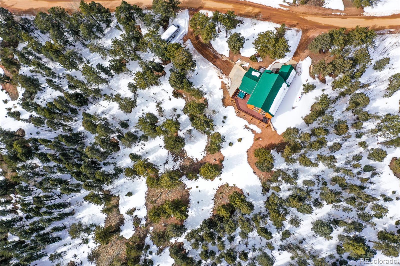 MLS Image #47 for 156  paradiso road,divide, Colorado