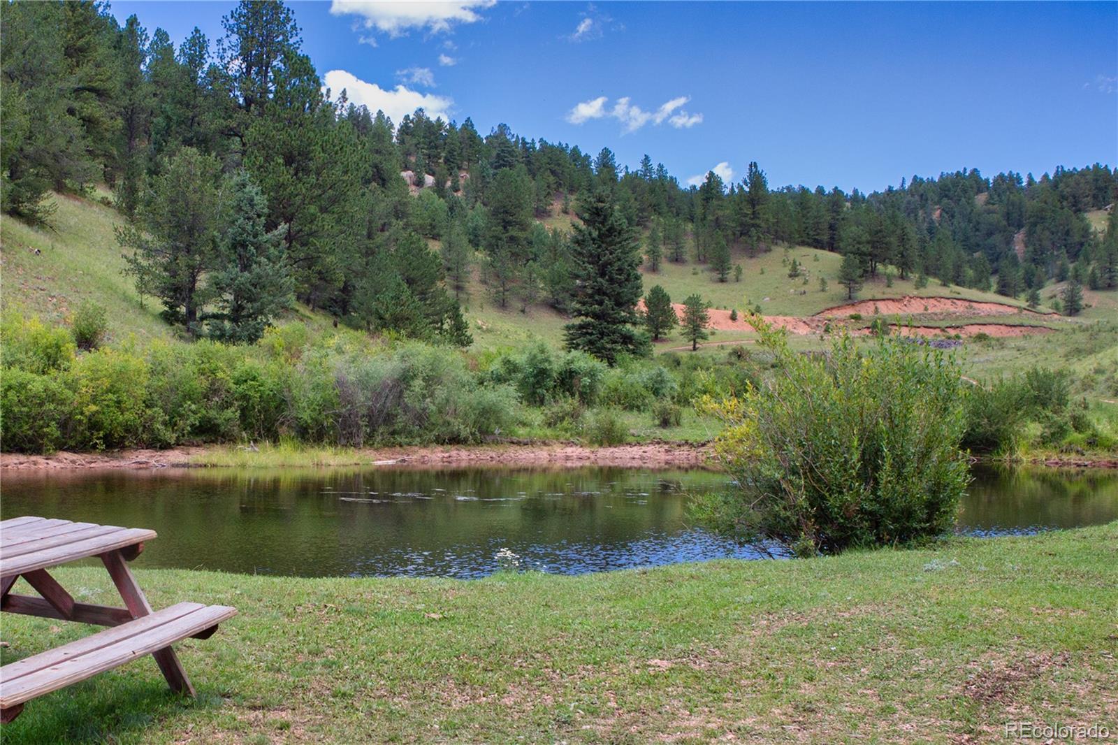 MLS Image #48 for 156  paradiso road,divide, Colorado