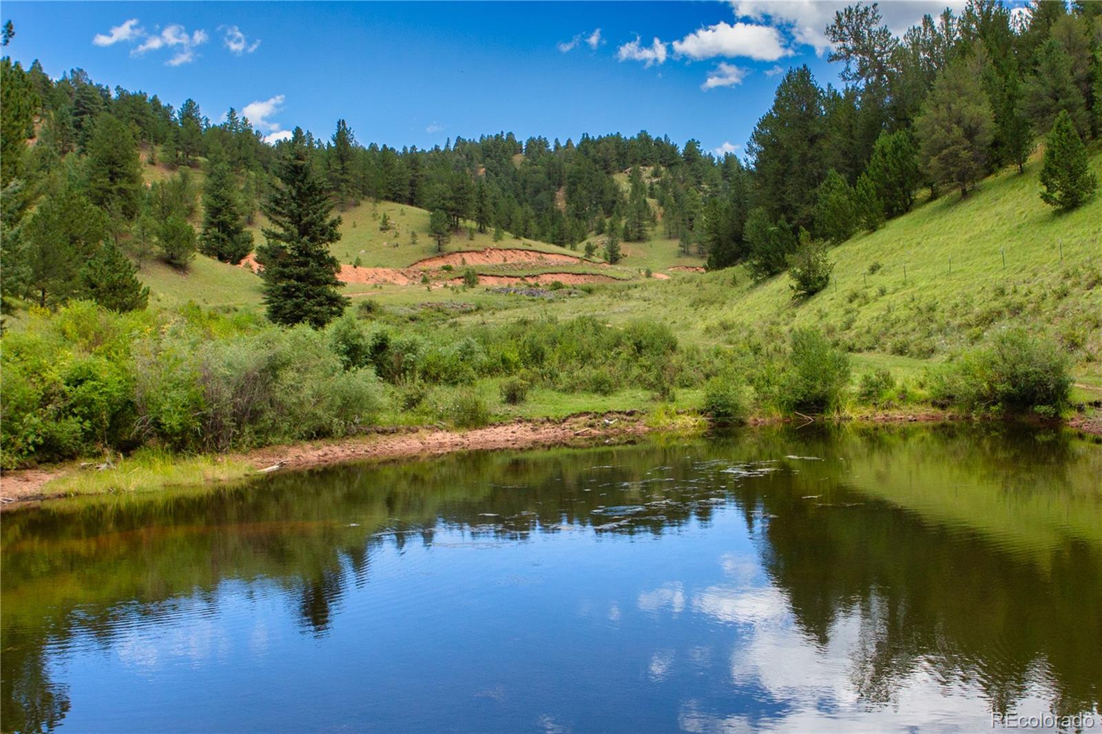 MLS Image #49 for 156  paradiso road,divide, Colorado