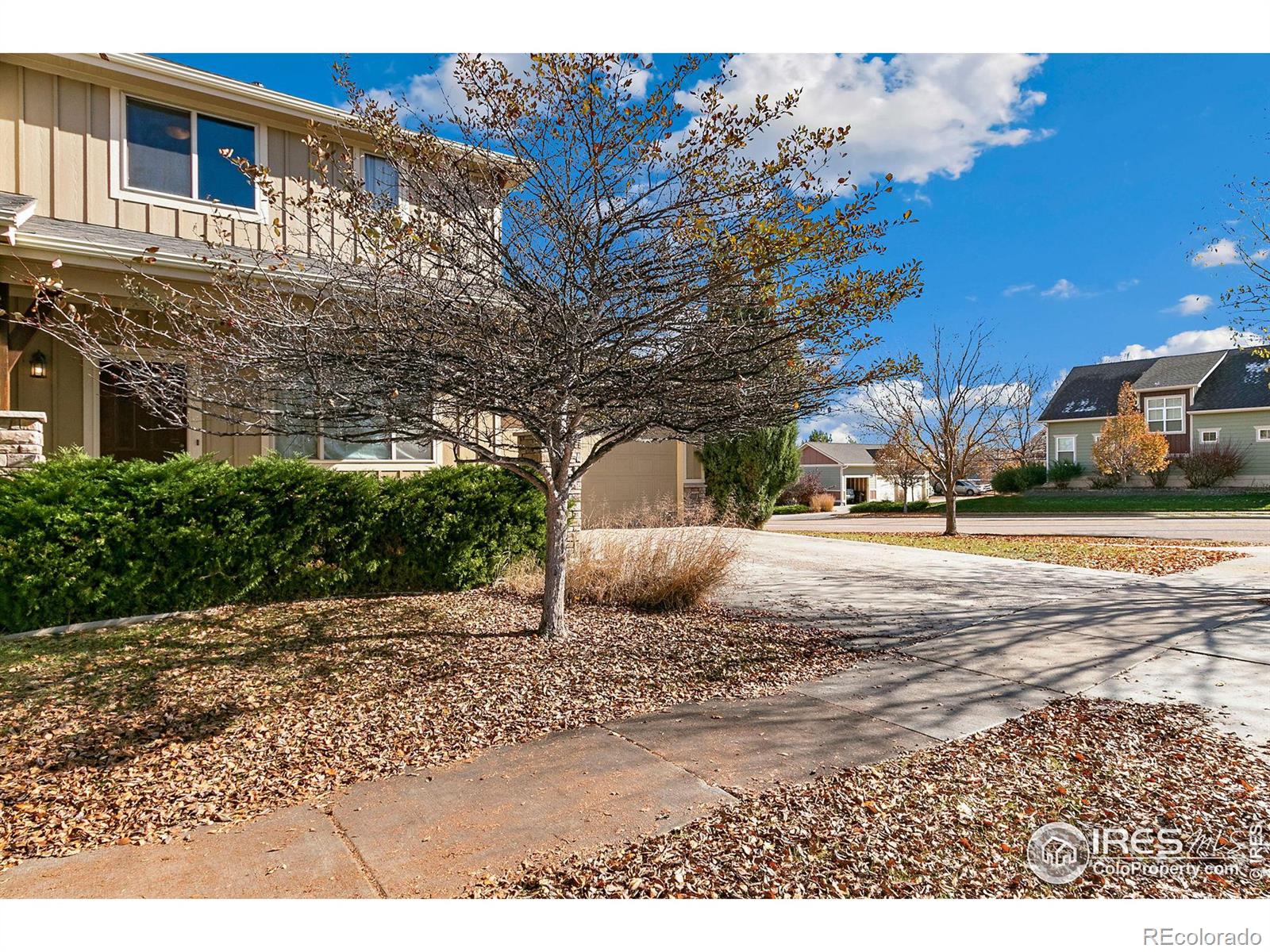 MLS Image #1 for 3032  chase drive,fort collins, Colorado