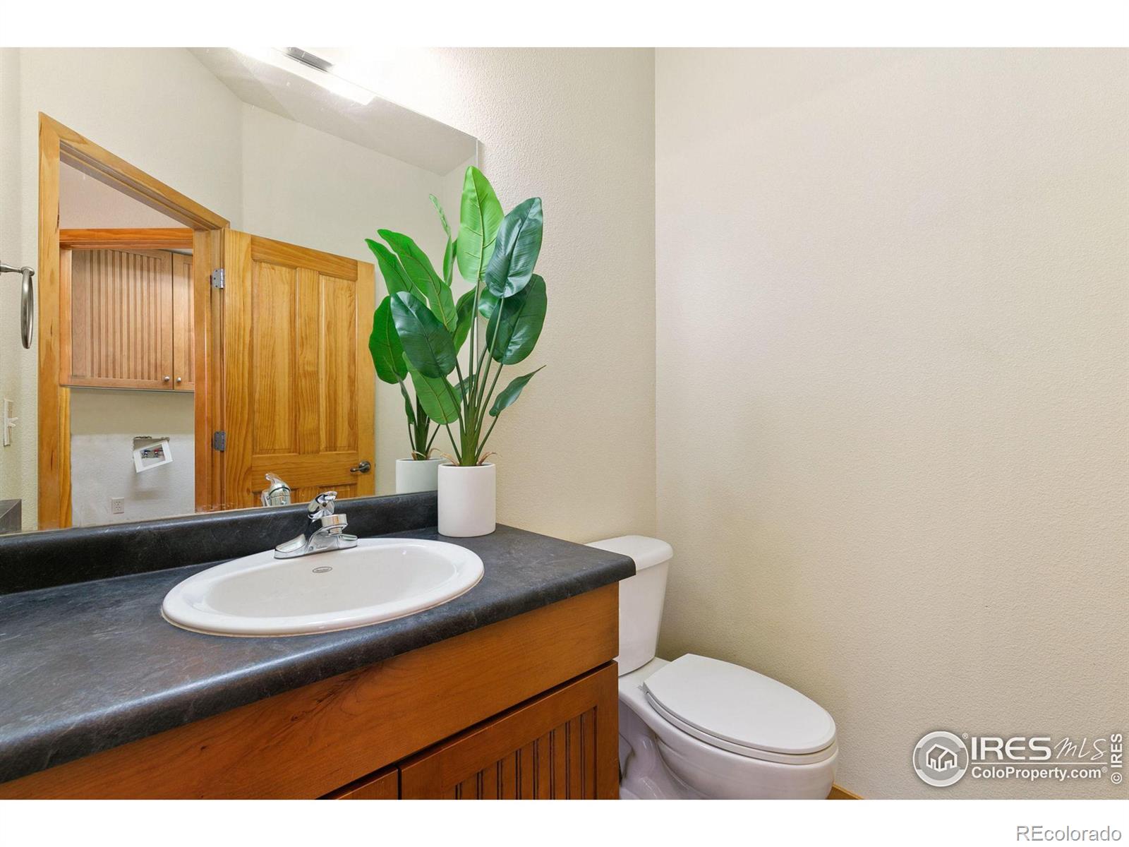 MLS Image #9 for 3032  chase drive,fort collins, Colorado