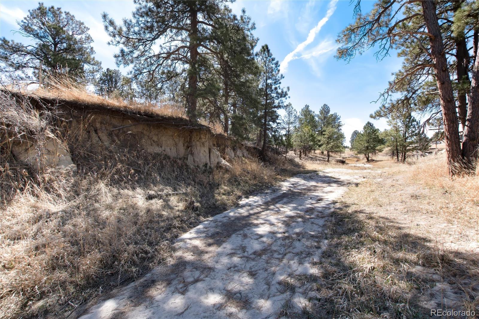 MLS Image #44 for 32374  pine view drive,kiowa, Colorado