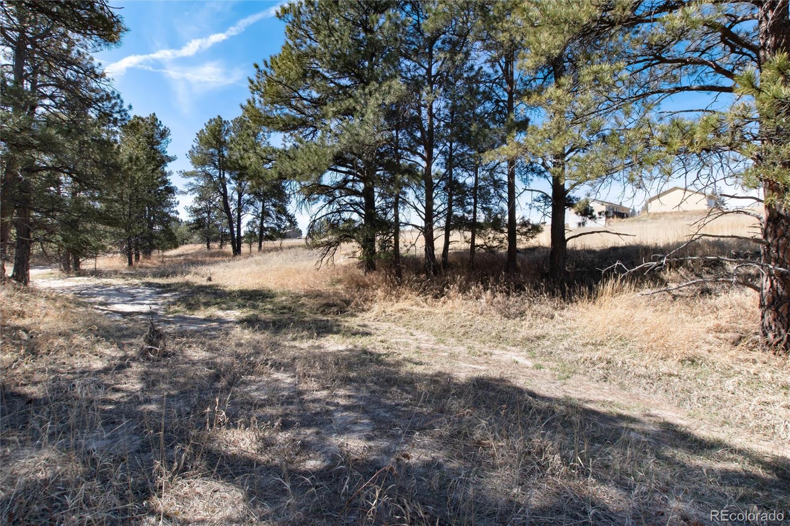 MLS Image #45 for 32374  pine view drive,kiowa, Colorado