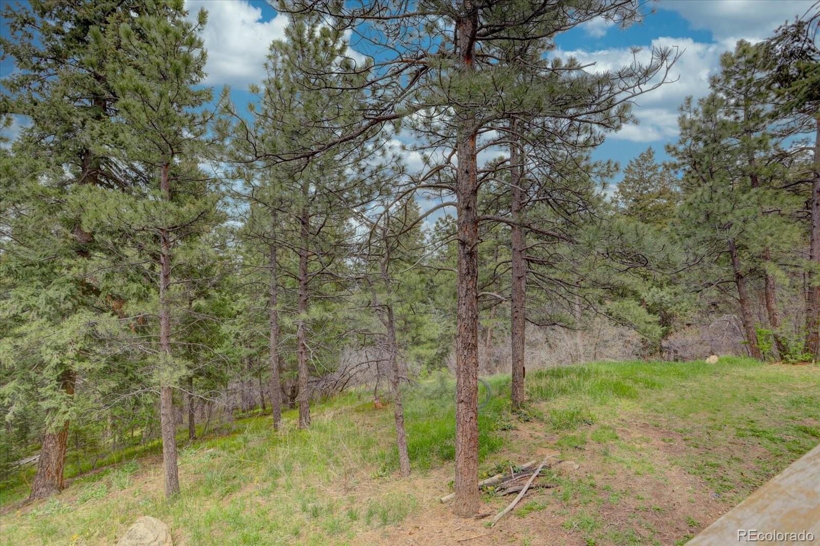 MLS Image #5 for 1200  madge gulch road,sedalia, Colorado