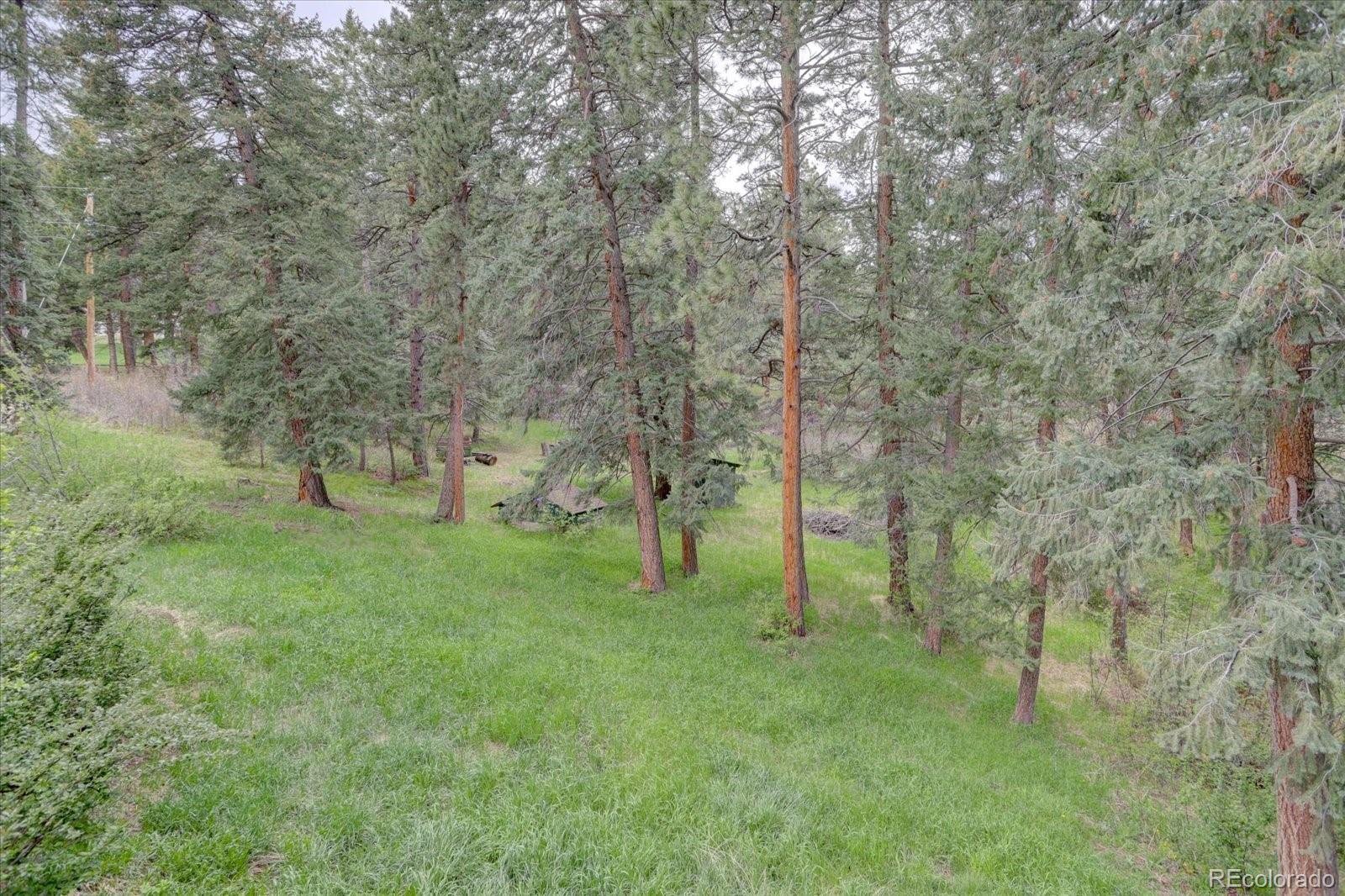 MLS Image #6 for 1200  madge gulch road,sedalia, Colorado