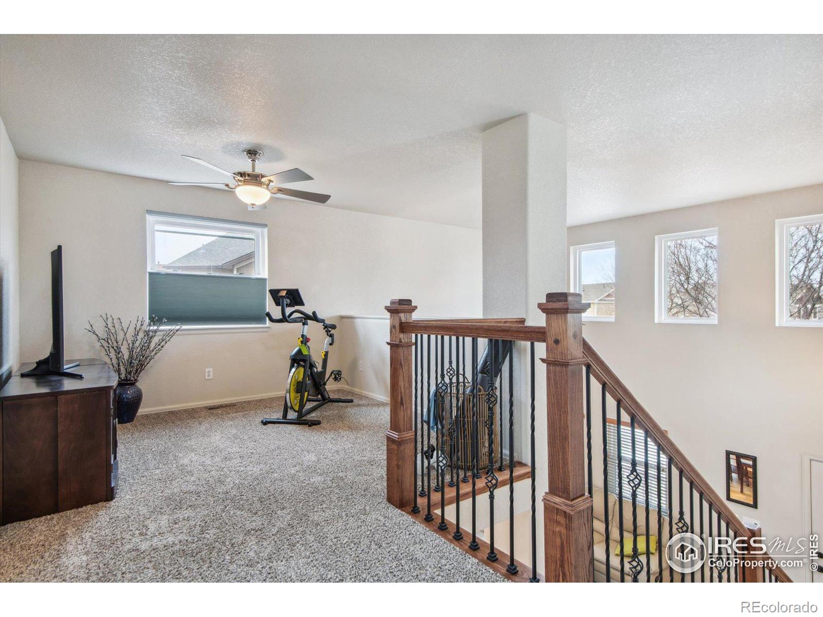 MLS Image #14 for 14636  gaylord street,thornton, Colorado