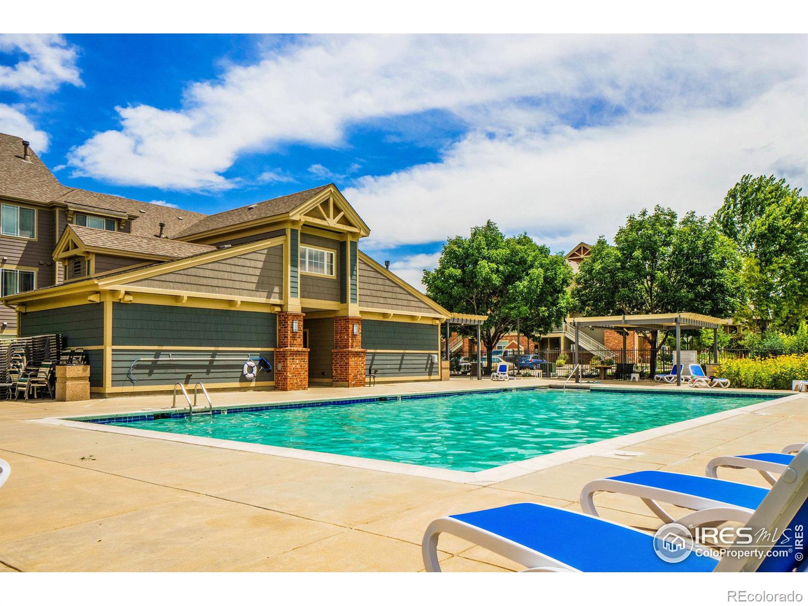 MLS Image #13 for 804  summer hawk drive,longmont, Colorado