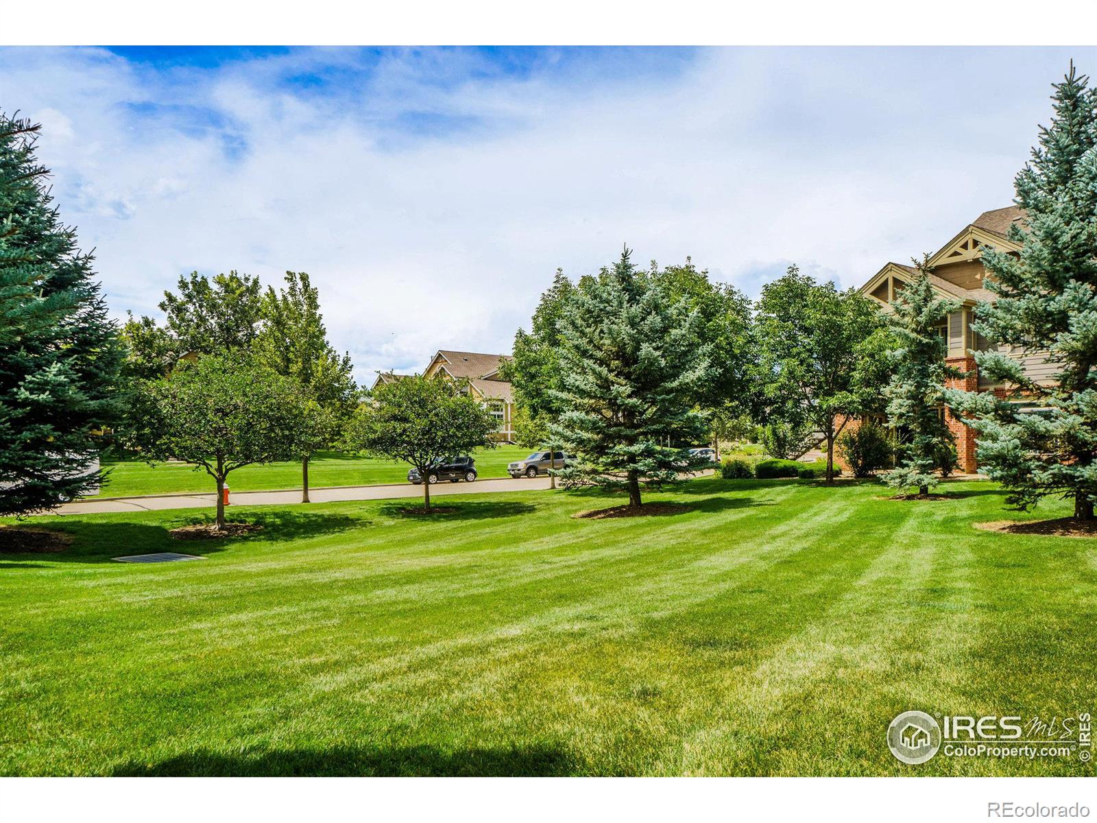 MLS Image #16 for 804  summer hawk drive,longmont, Colorado