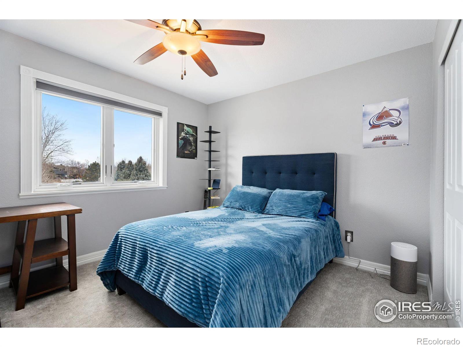 MLS Image #18 for 2146  burbank street,berthoud, Colorado