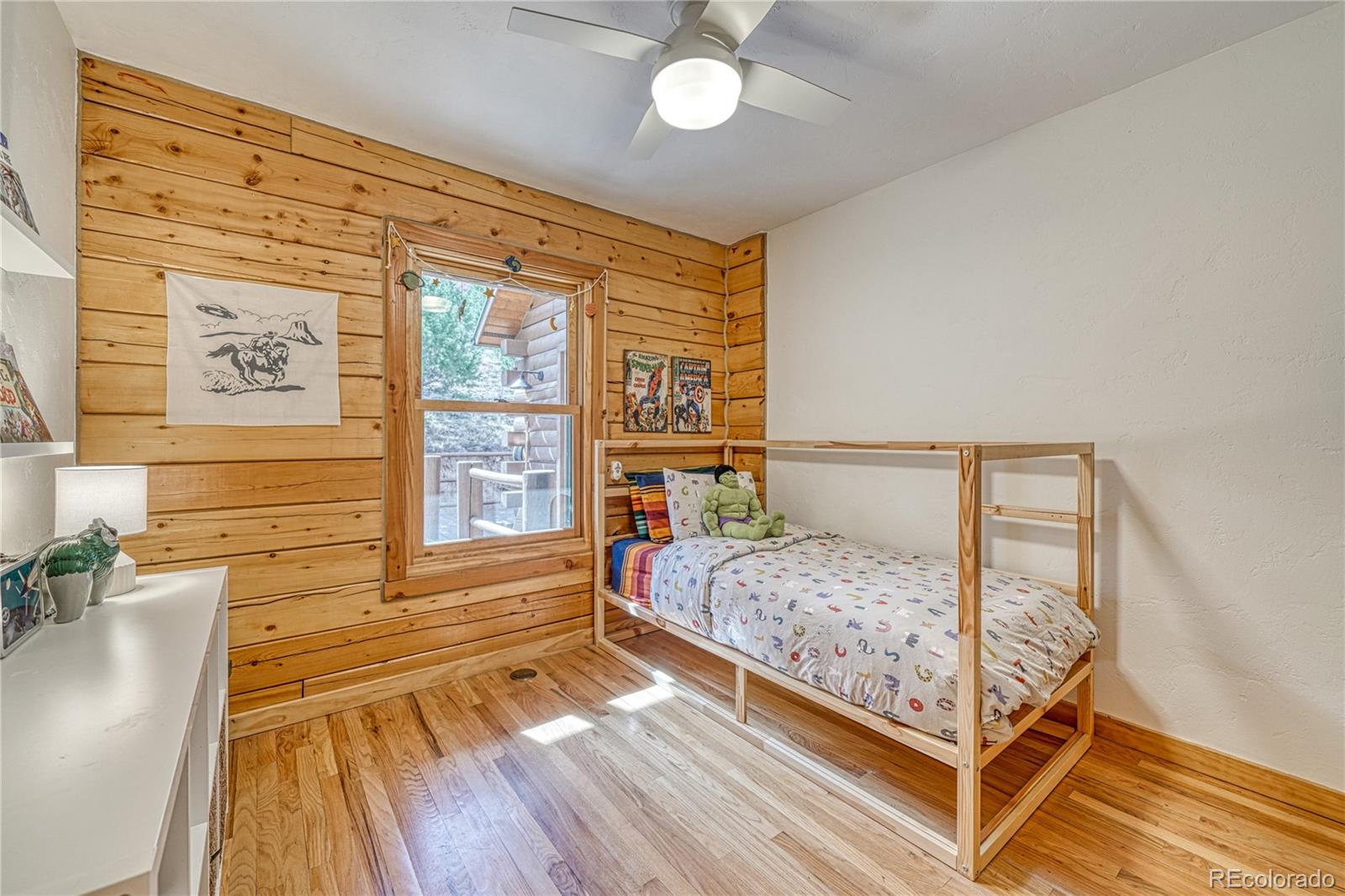 MLS Image #23 for 1350  mitchell mountain road,westcliffe, Colorado