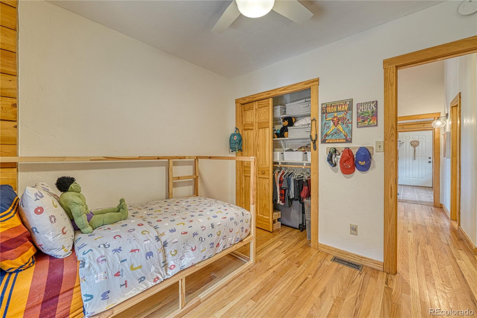 MLS Image #24 for 1350  mitchell mountain road,westcliffe, Colorado