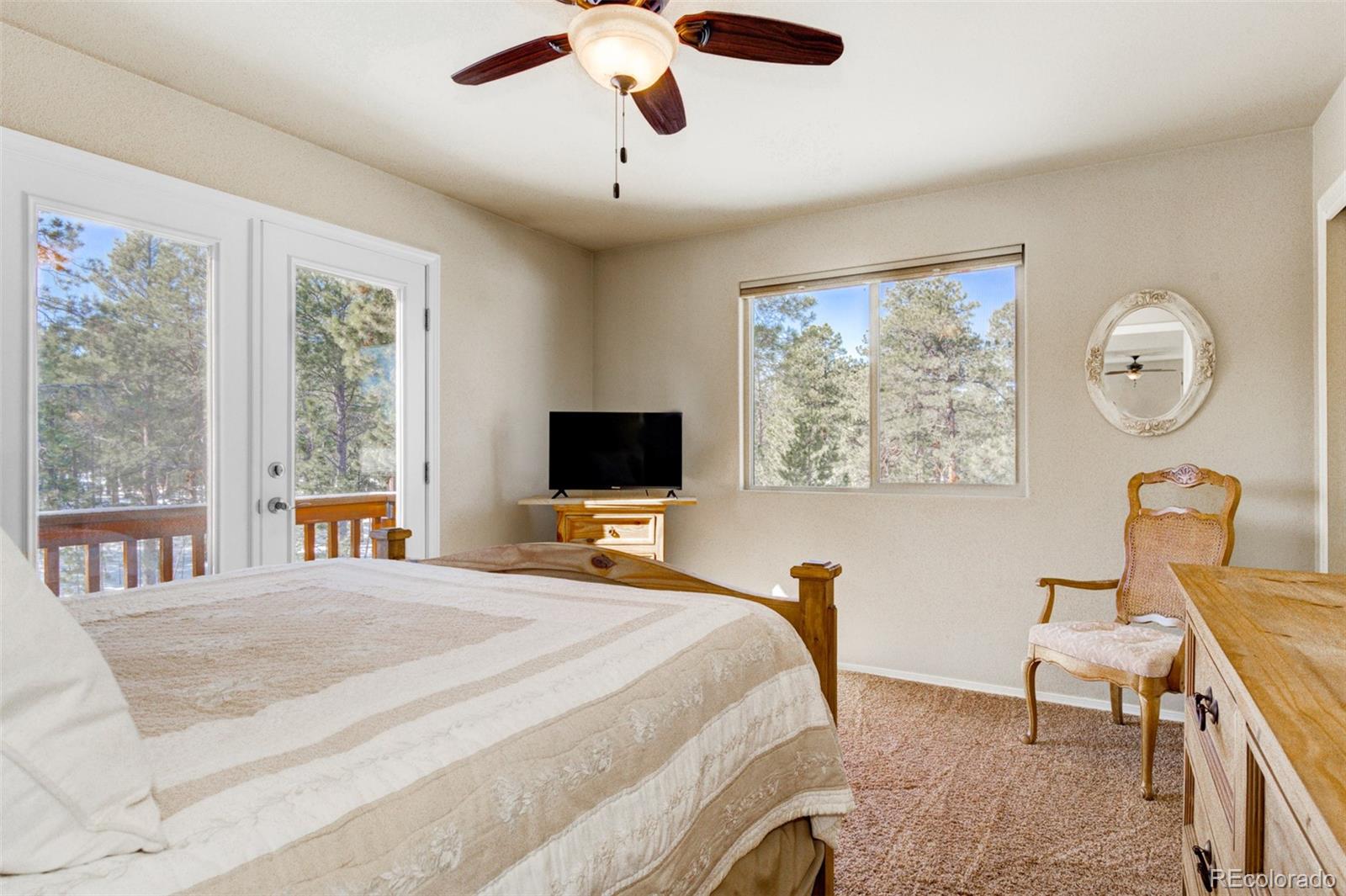 MLS Image #12 for 15053  snowy pine point,colorado springs, Colorado