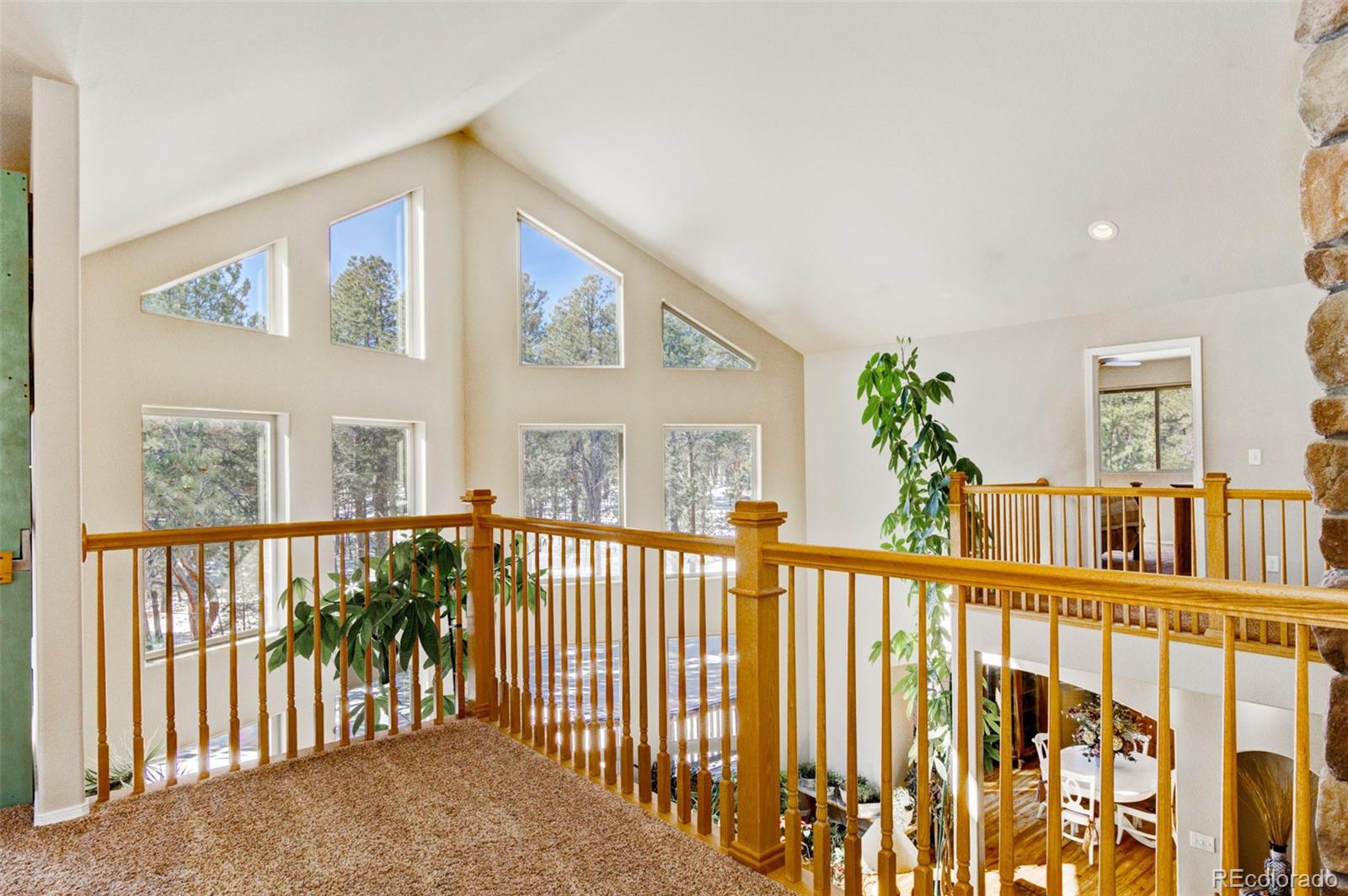 MLS Image #7 for 15053  snowy pine point,colorado springs, Colorado