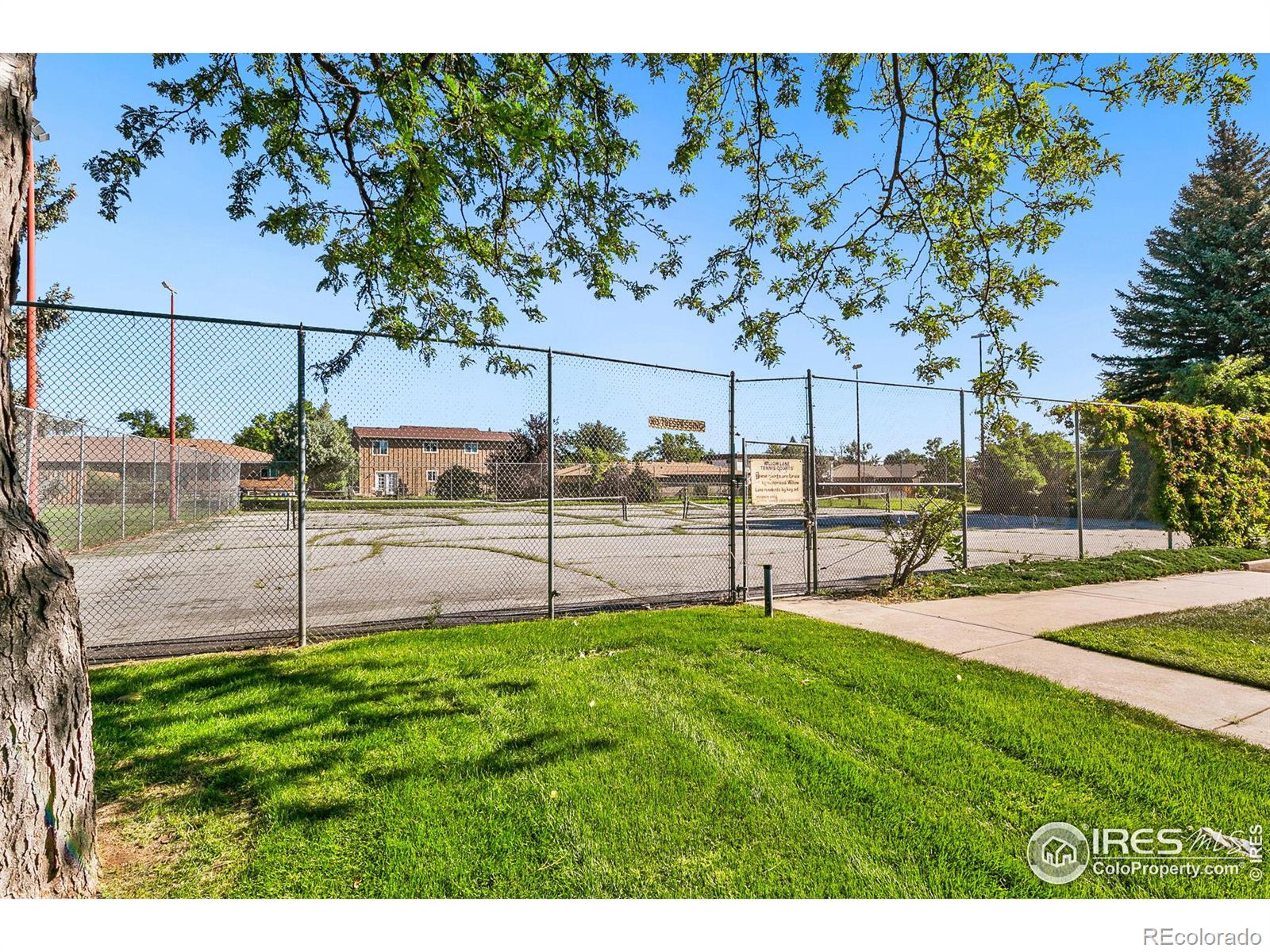 MLS Image #15 for 3005  ross drive,fort collins, Colorado