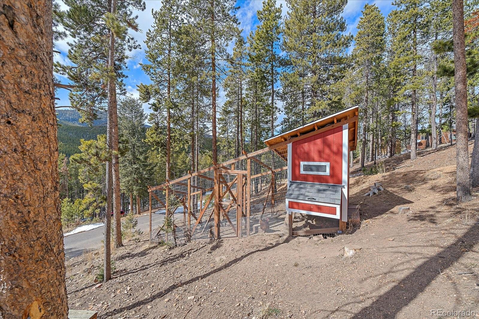 MLS Image #33 for 8852  martin lane,conifer, Colorado