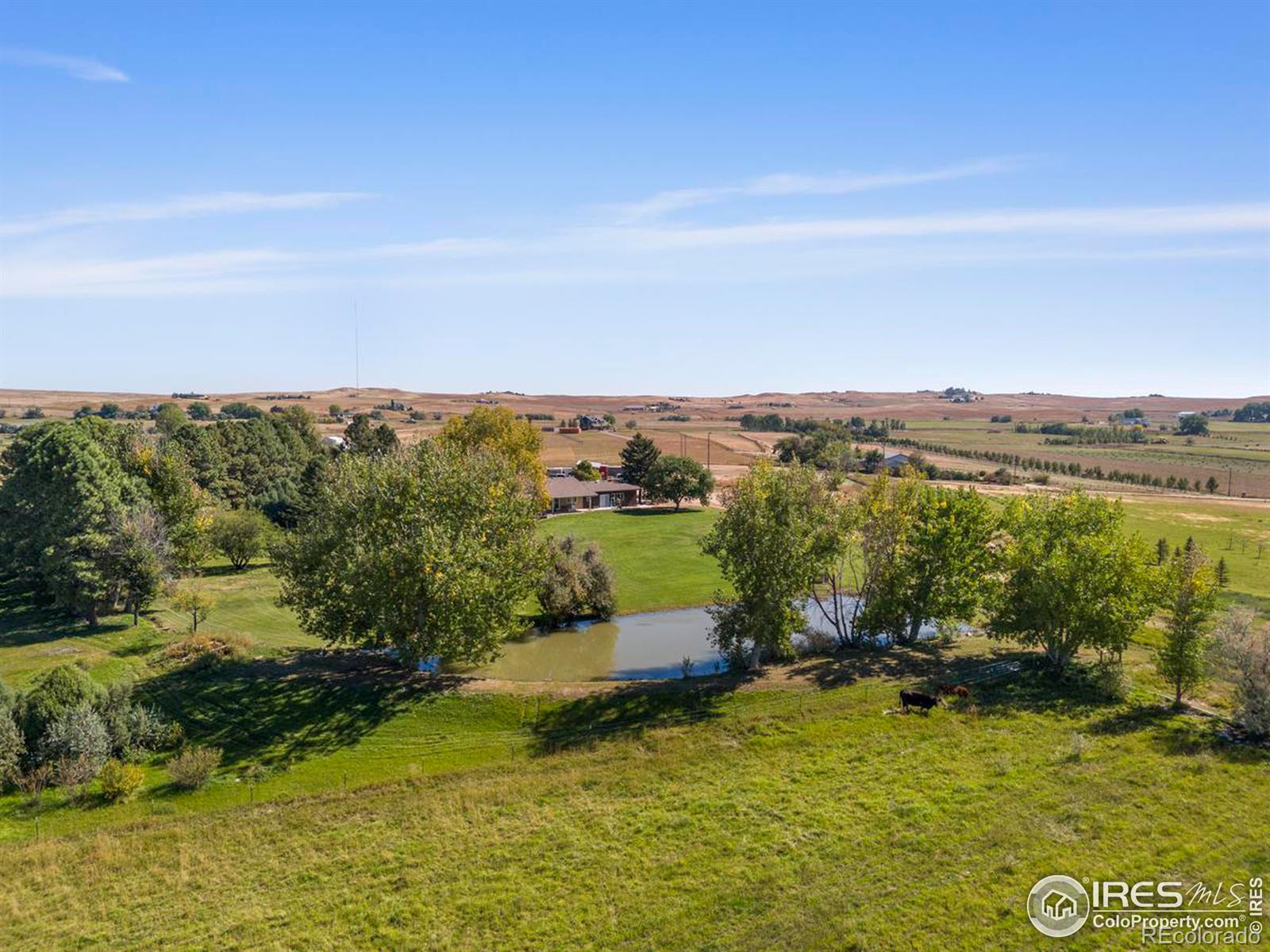 MLS Image #38 for 6305 n county road 3 ,fort collins, Colorado