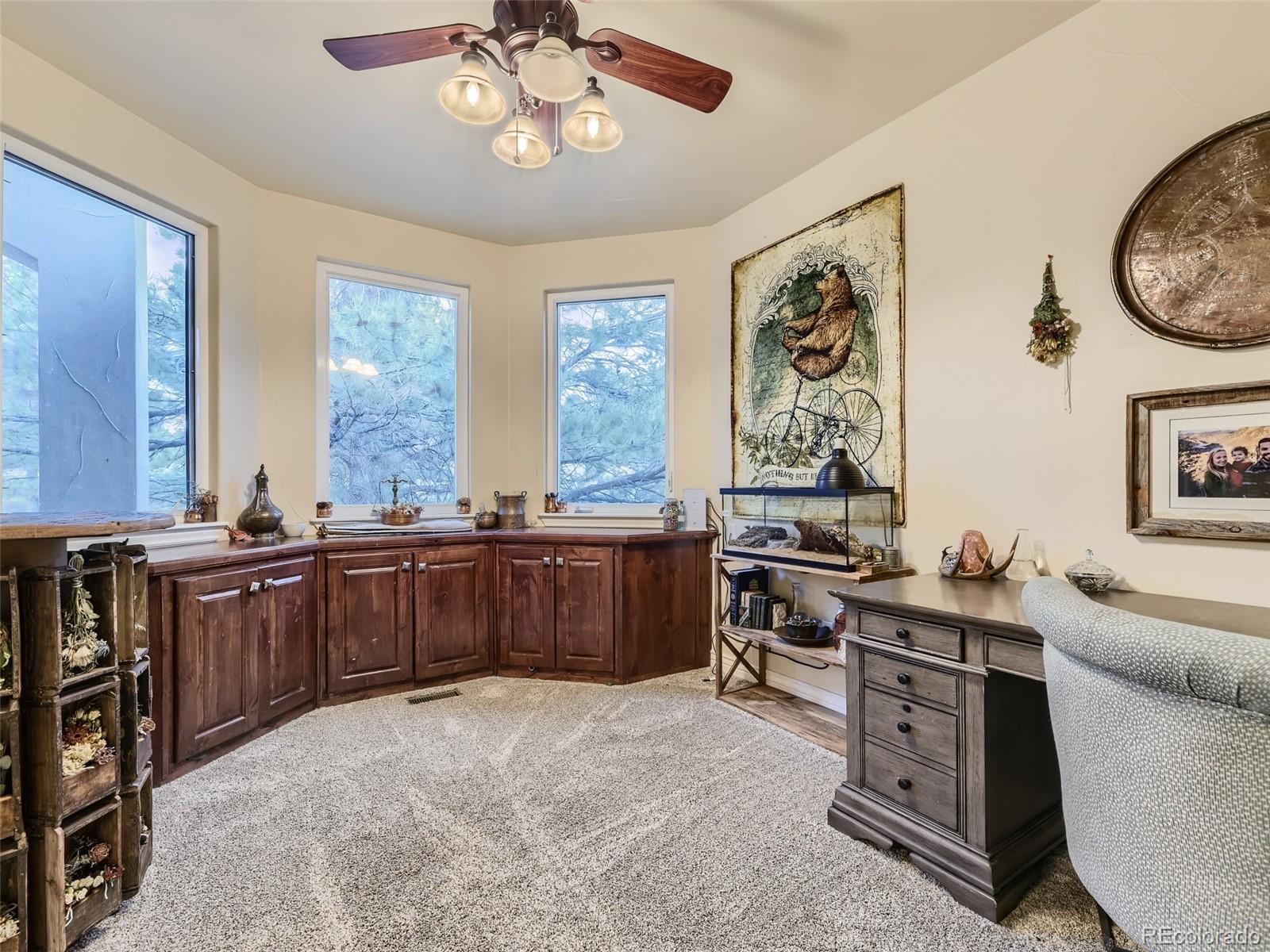 MLS Image #18 for 11063  sheffield court,parker, Colorado