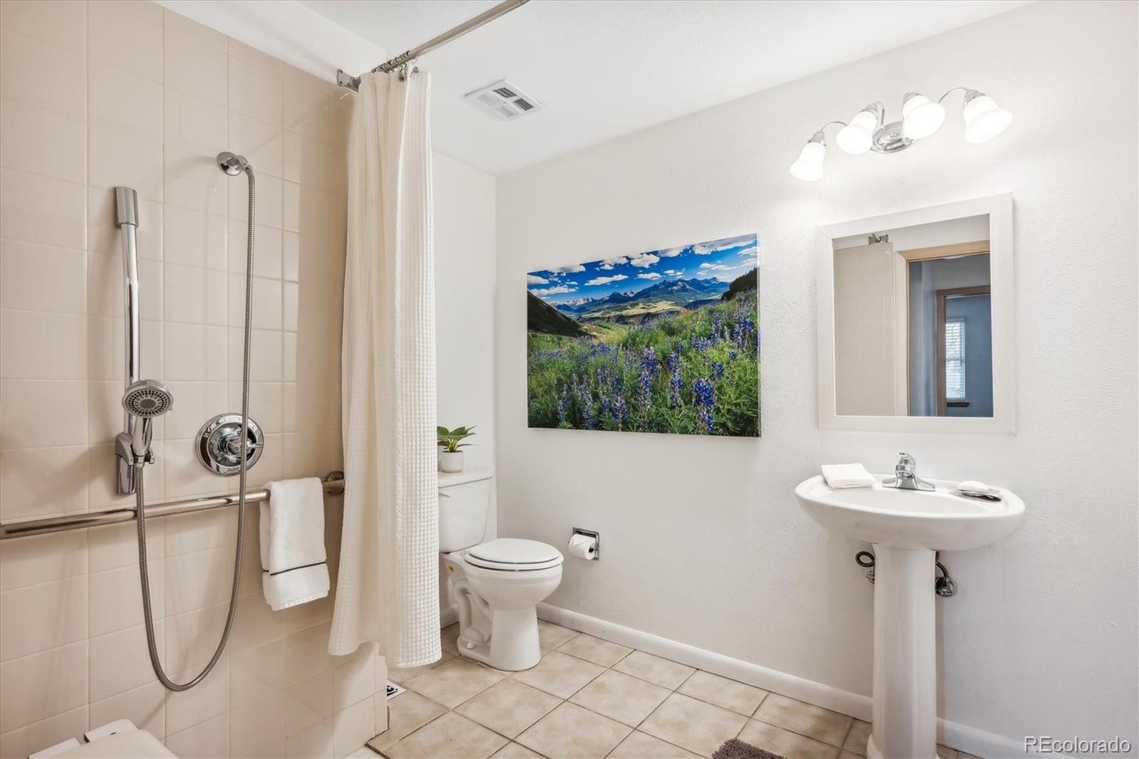 MLS Image #10 for 8342  flower court,arvada, Colorado