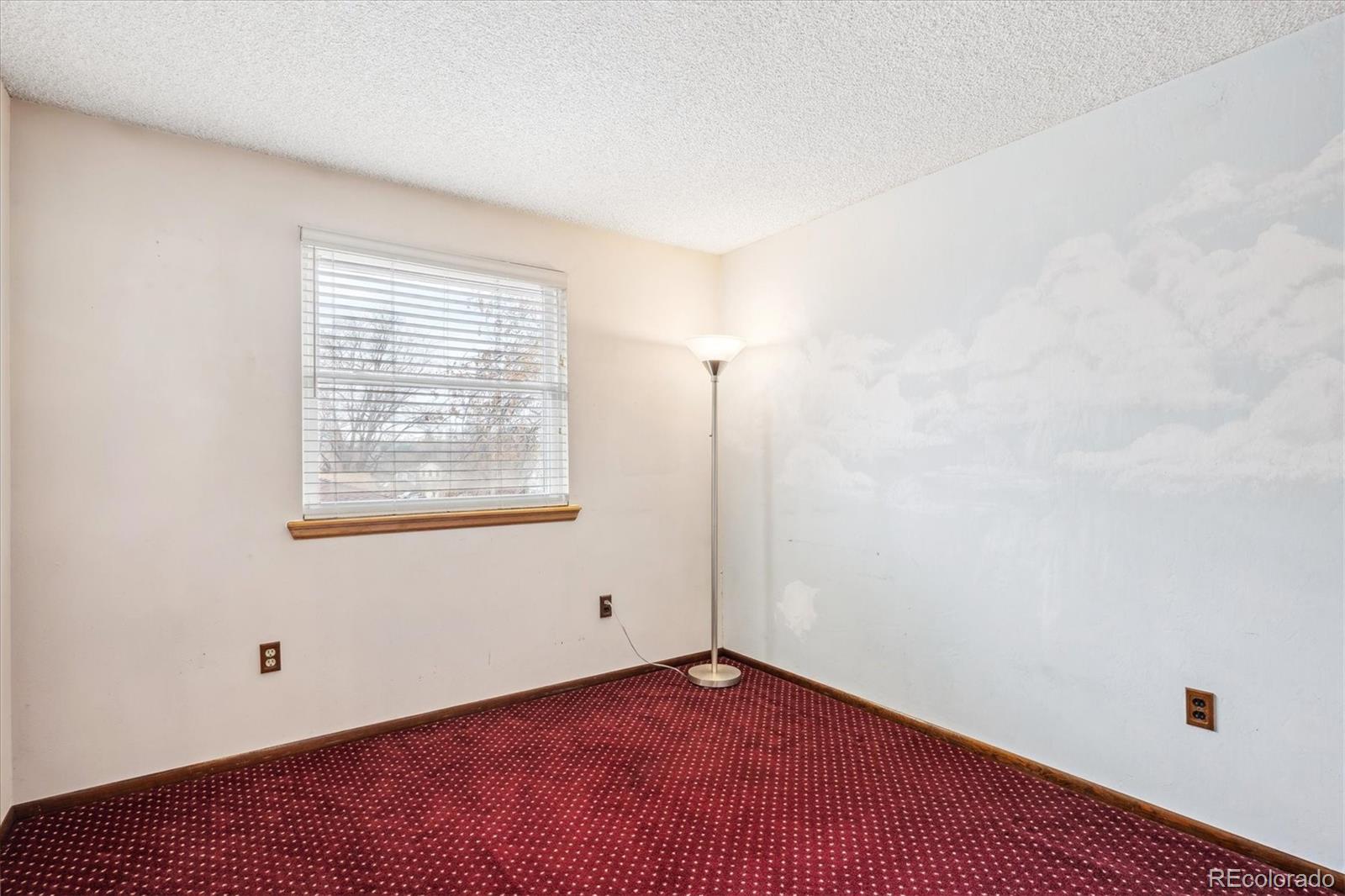 MLS Image #12 for 8342  flower court,arvada, Colorado