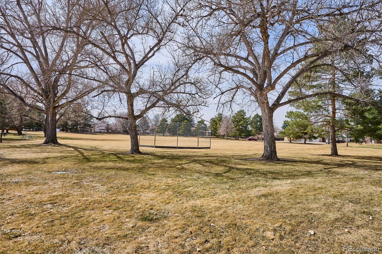 MLS Image #28 for 8342  flower court,arvada, Colorado