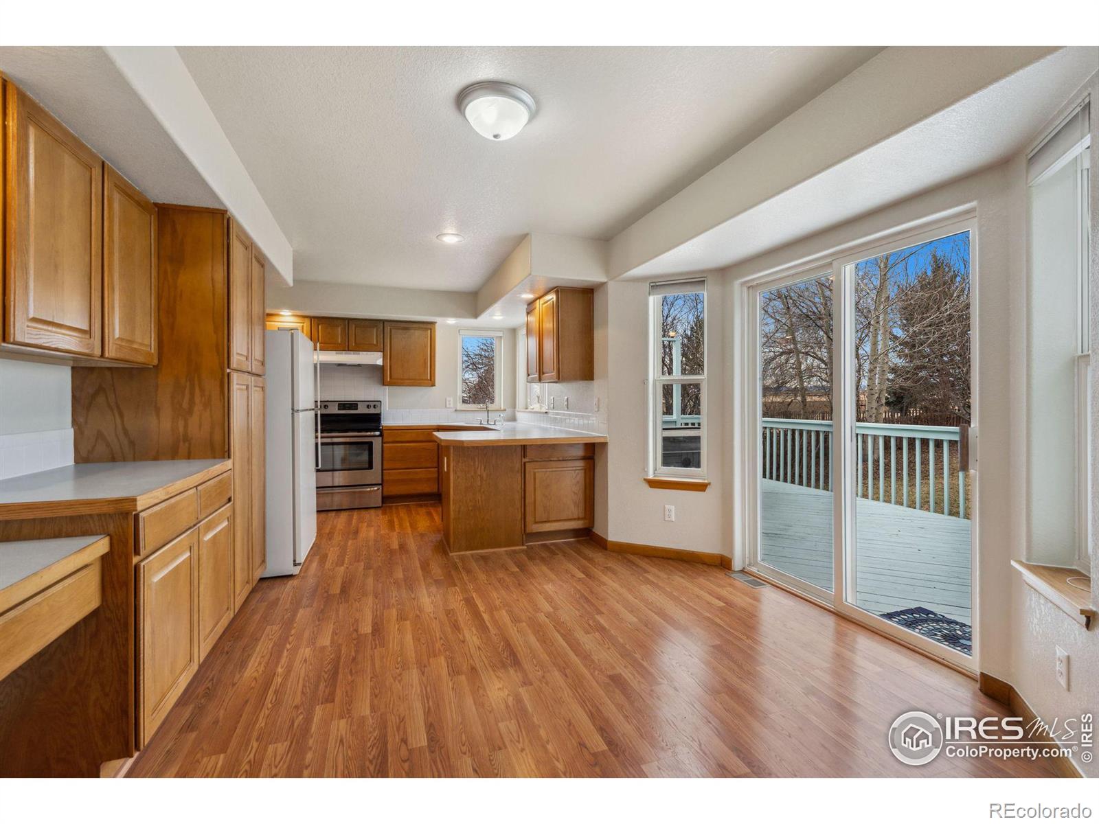 MLS Image #12 for 16869 w view drive,mead, Colorado