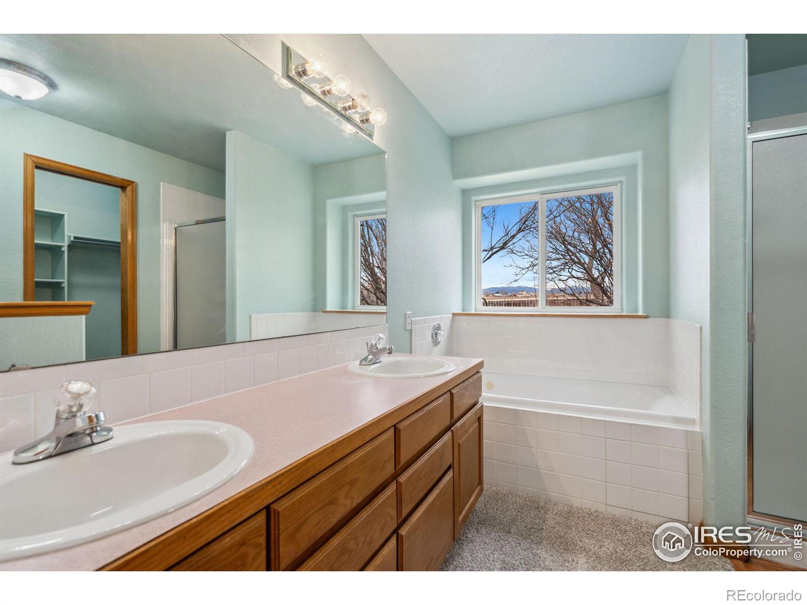 MLS Image #21 for 16869 w view drive,mead, Colorado