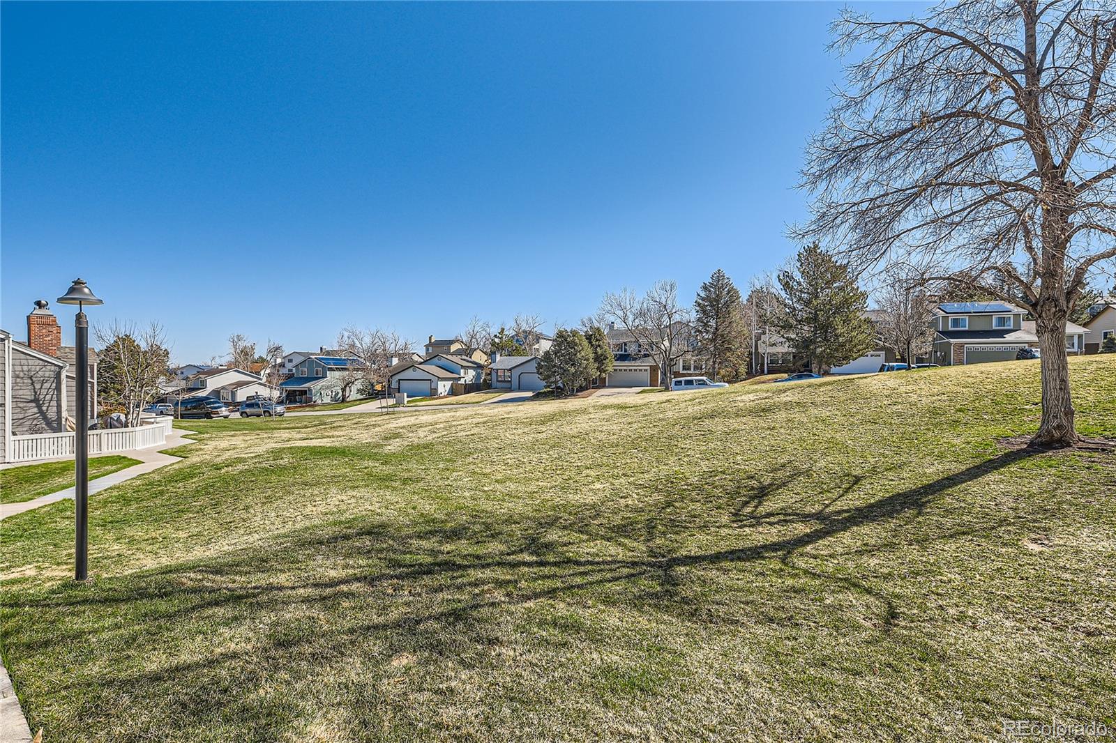 MLS Image #16 for 141  blue spruce court,highlands ranch, Colorado