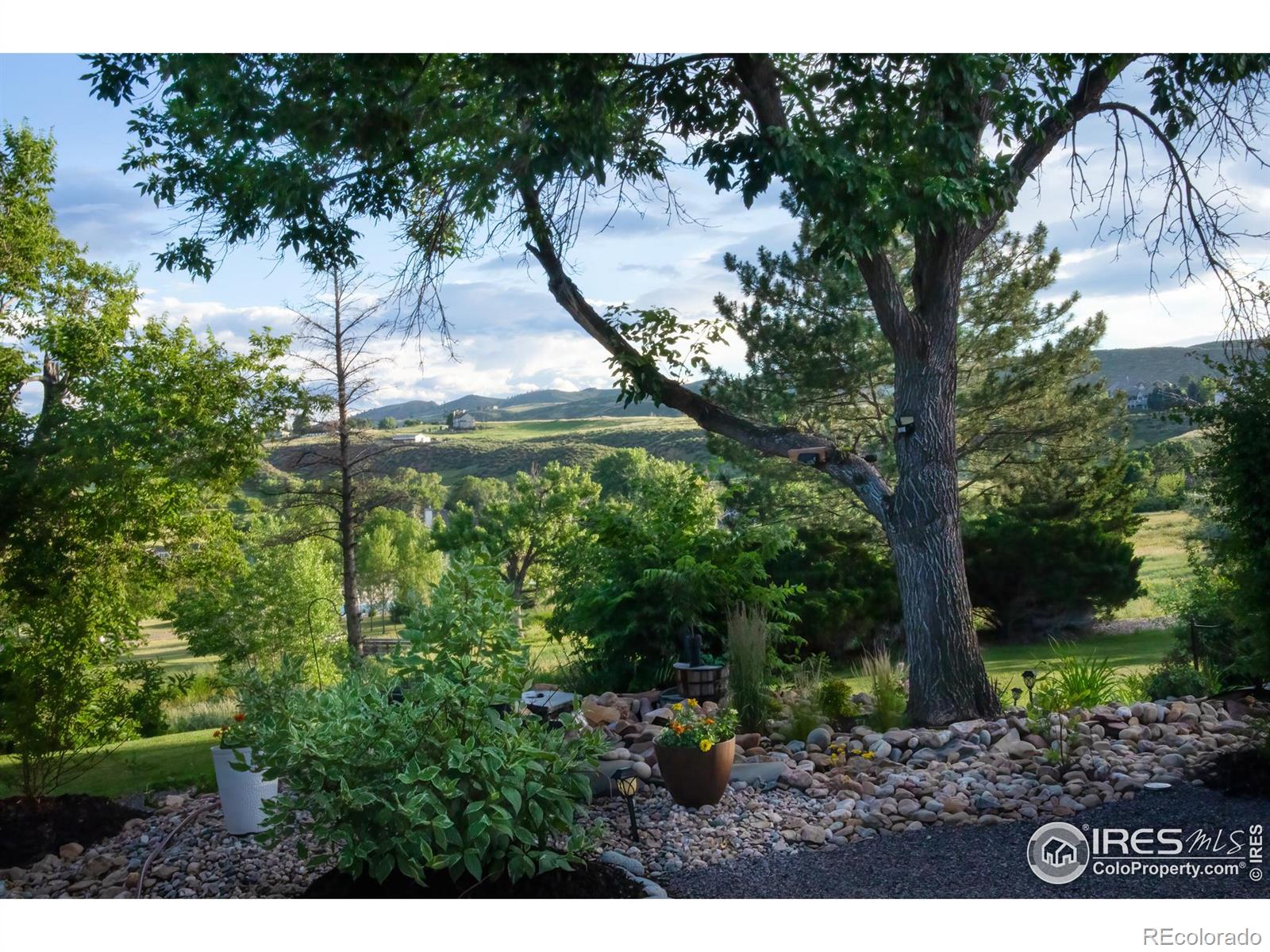 MLS Image #4 for 5906  jordan drive,loveland, Colorado