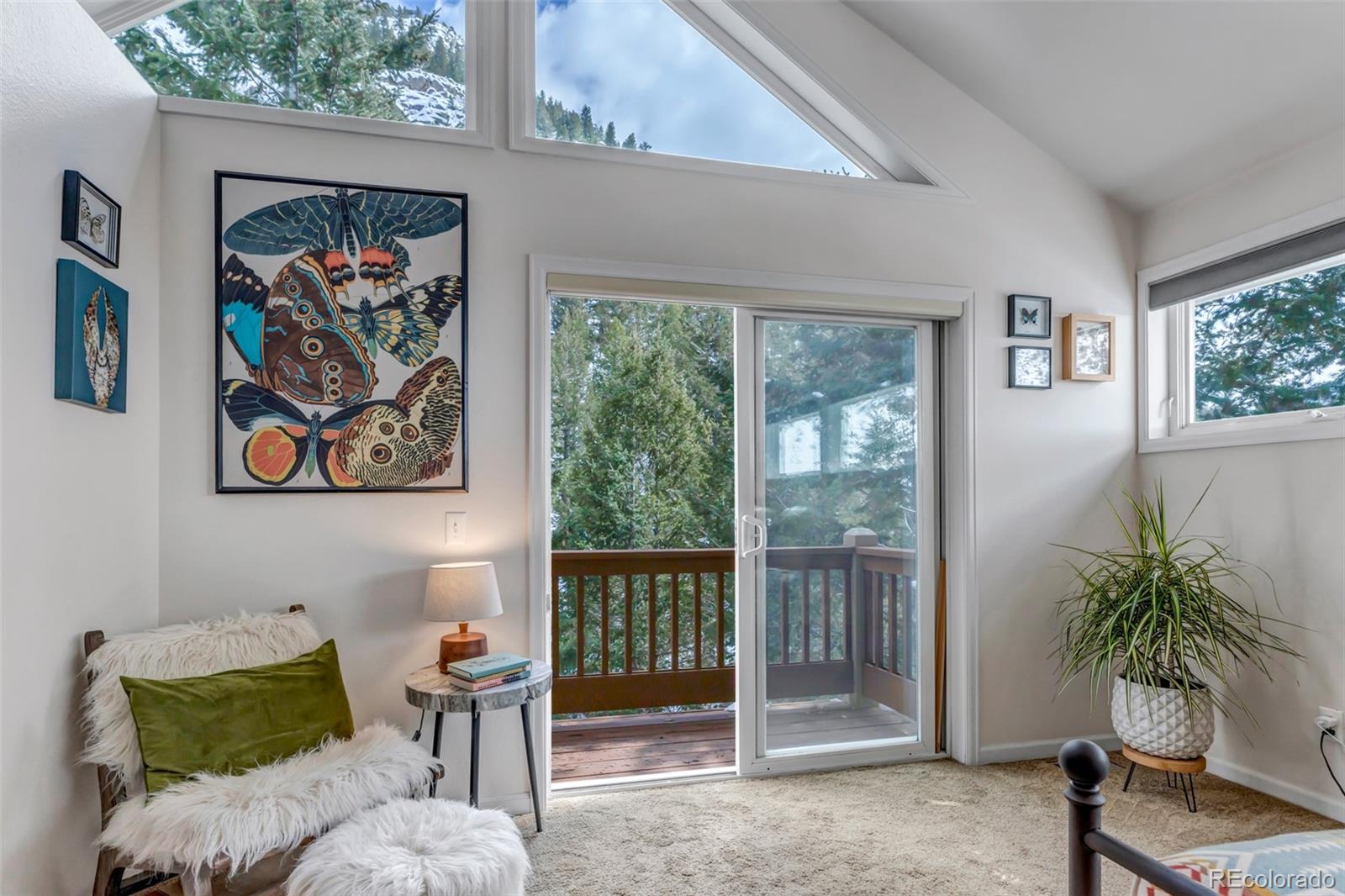 MLS Image #24 for 2500  major anderson drive,georgetown, Colorado