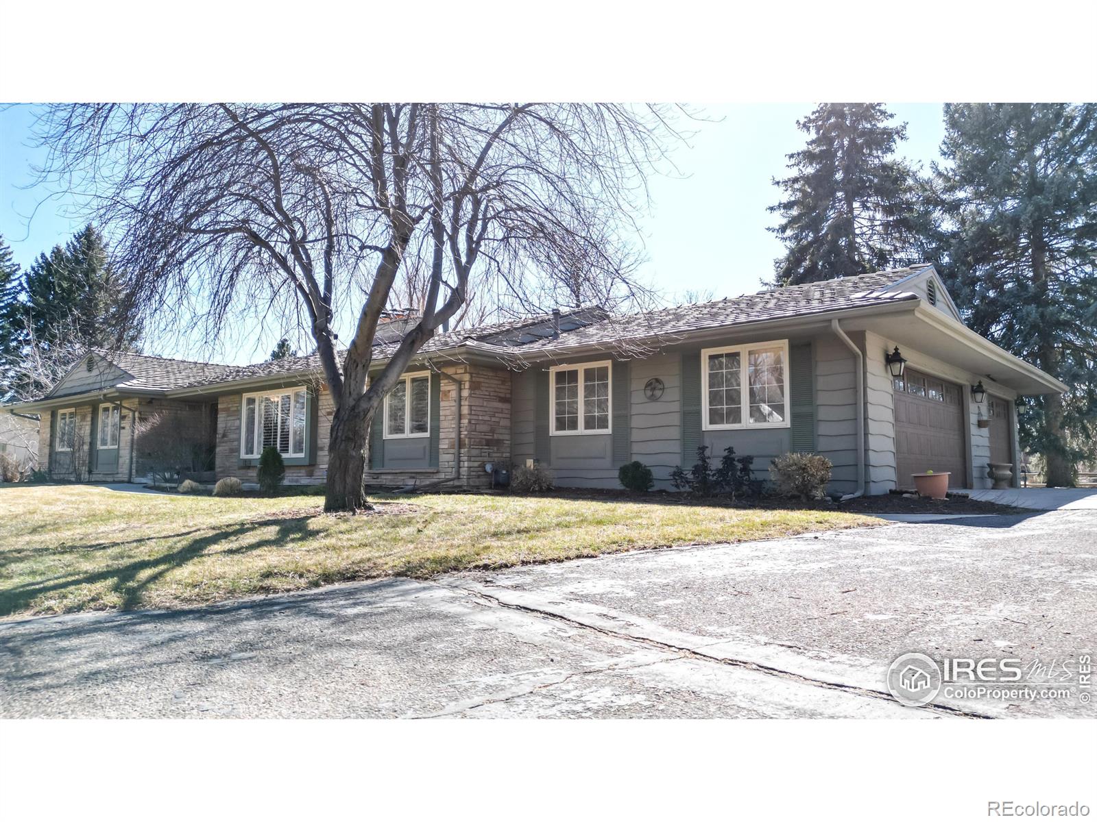 MLS Image #2 for 1213  lindenwood drive,fort collins, Colorado