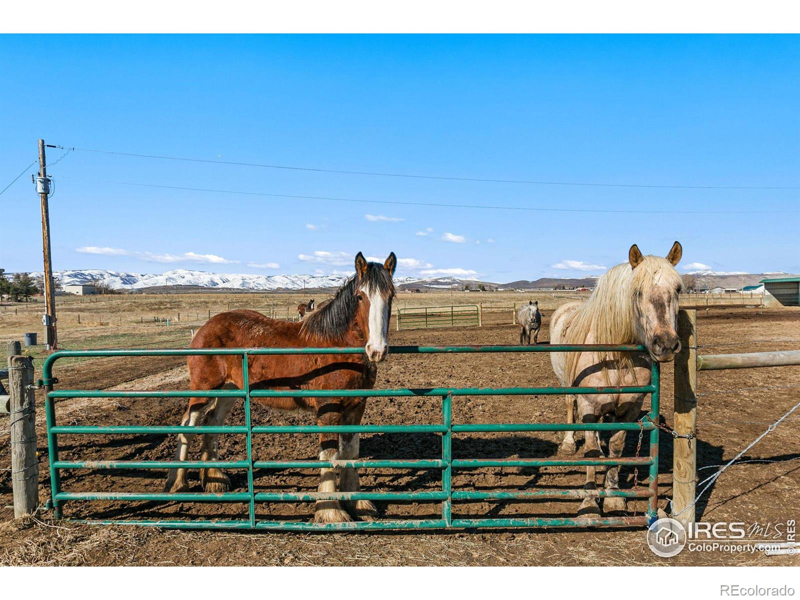 MLS Image #39 for 1955  buck drive,fort collins, Colorado